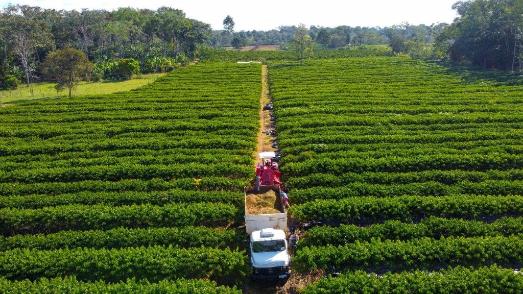 Governo de MT lança linha de crédito de até R$ 1,5 milhão para pequenos produtores